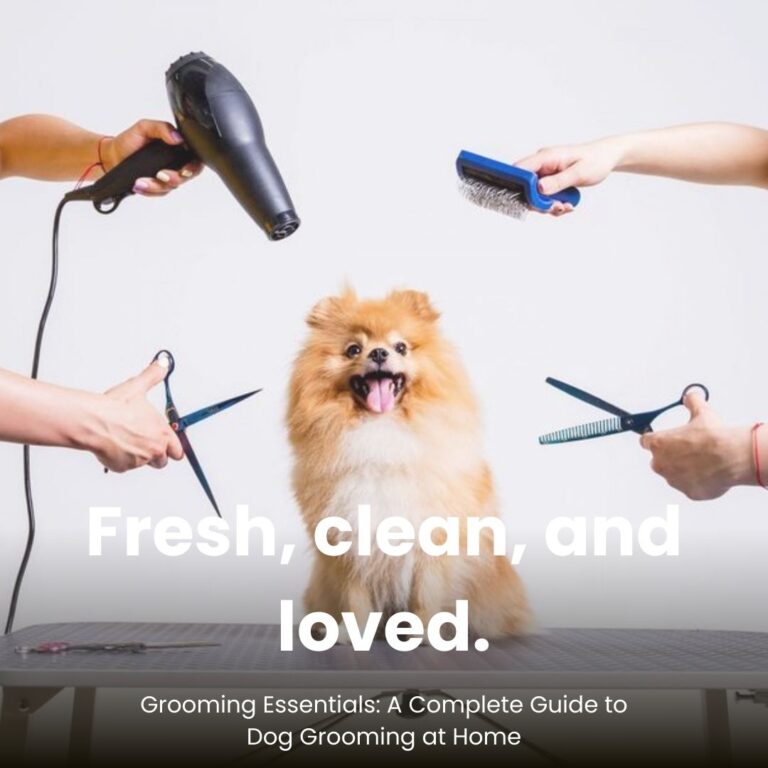 Grooming Essentials_ A Complete Guide to Dog Grooming at Home