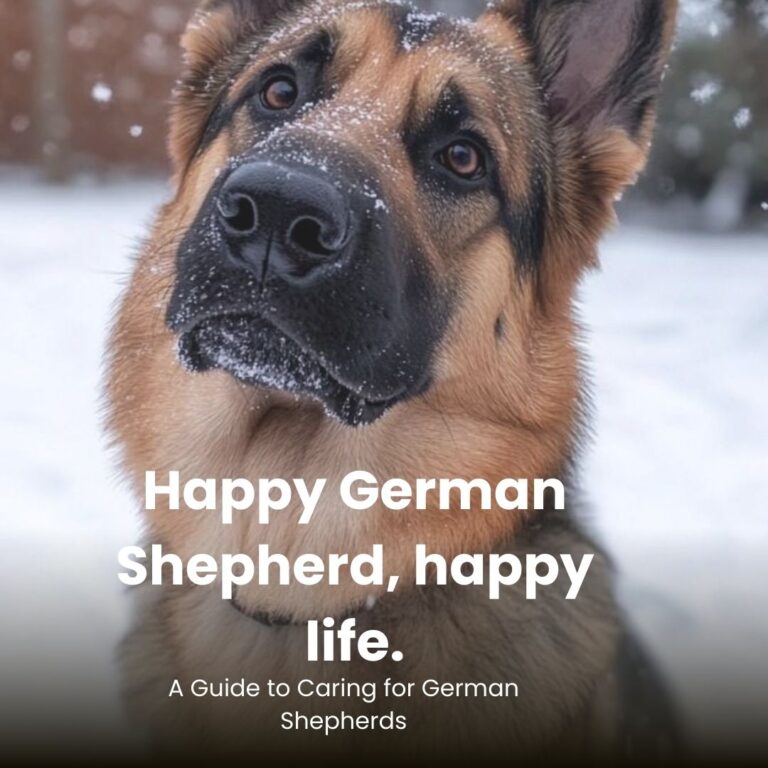 HIP Carla_ A Guide to Caring for German Shepherds