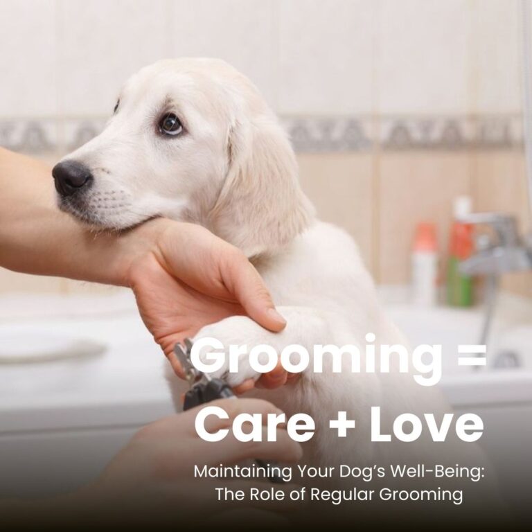 Maintaining Your Dog’s Well-Being_ The Role of Regular Grooming